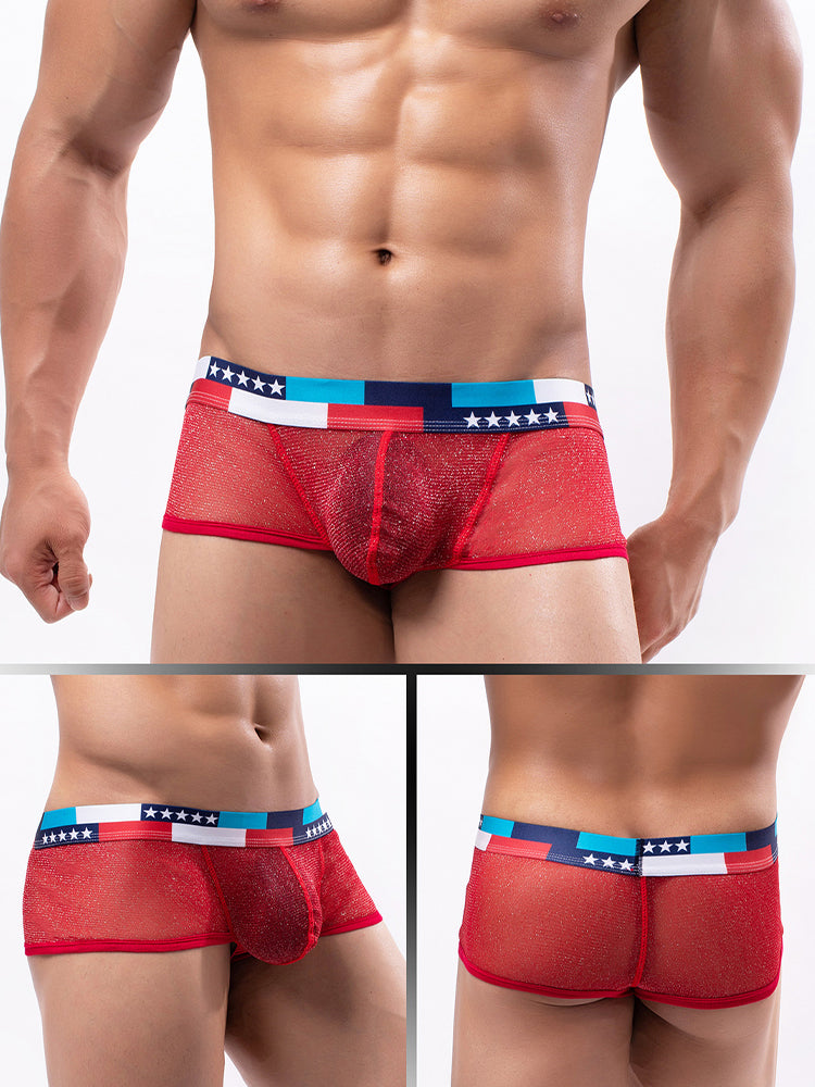 4-pack Men's Low-rise See-through Micro-mesh Pouch Shiny U-convex Wide-edge Boxer Briefs | dmunderwear detail image 3