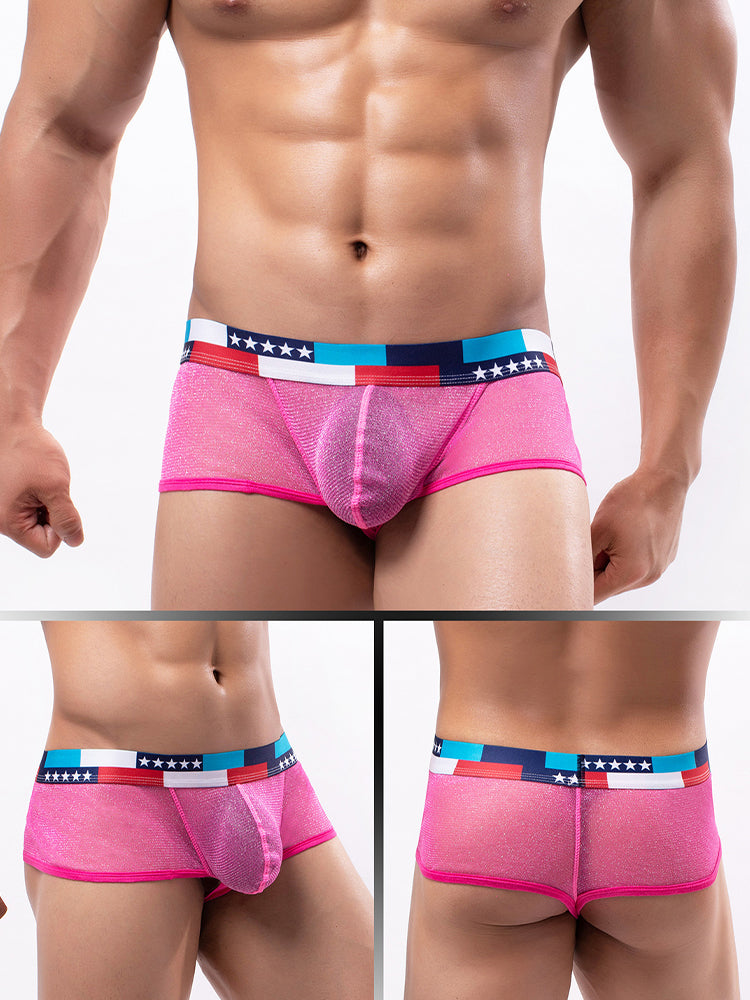 4-pack Men's Low-rise See-through Micro-mesh Pouch Shiny U-convex Wide-edge Boxer Briefs | dmunderwear detail image 4