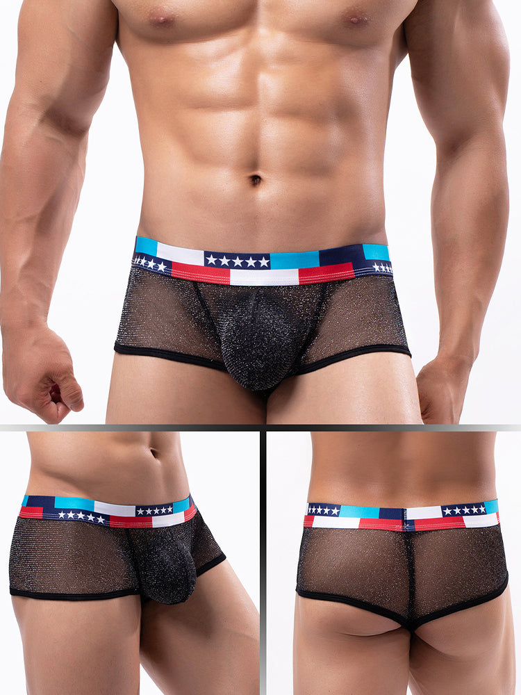 4-pack Men's Low-rise See-through Micro-mesh Pouch Shiny U-convex Wide-edge Boxer Briefs | dmunderwear detail image 5