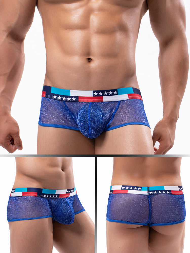 4-pack Men's Low-rise See-through Micro-mesh Pouch Shiny U-convex Wide-edge Boxer Briefs | dmunderwear detail image 6