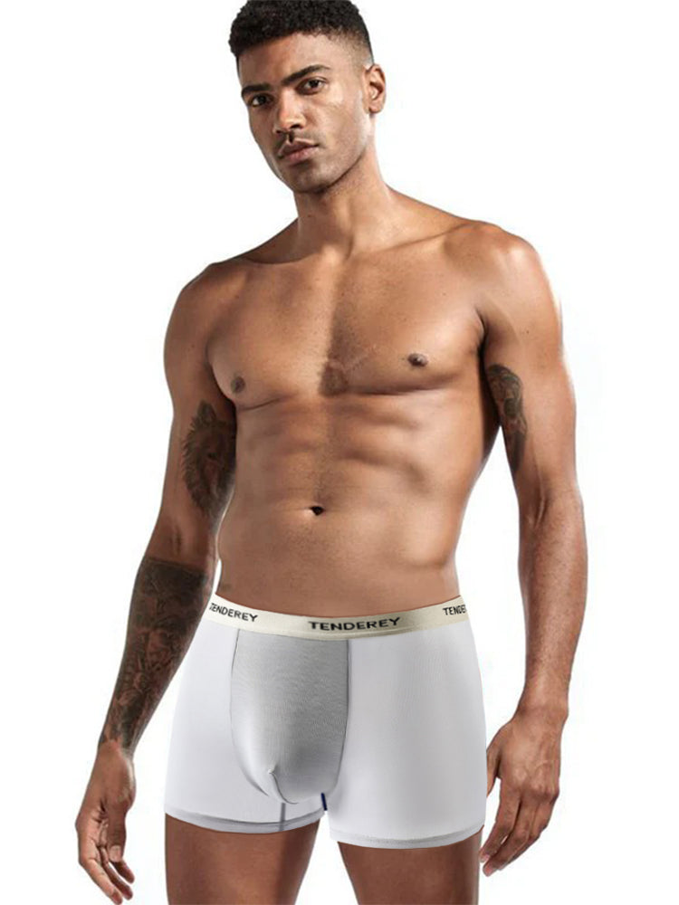 4 Pack Men's Quick-Drying & Comfortable Antibacterial Ice Silk Trunks | dmunderwear