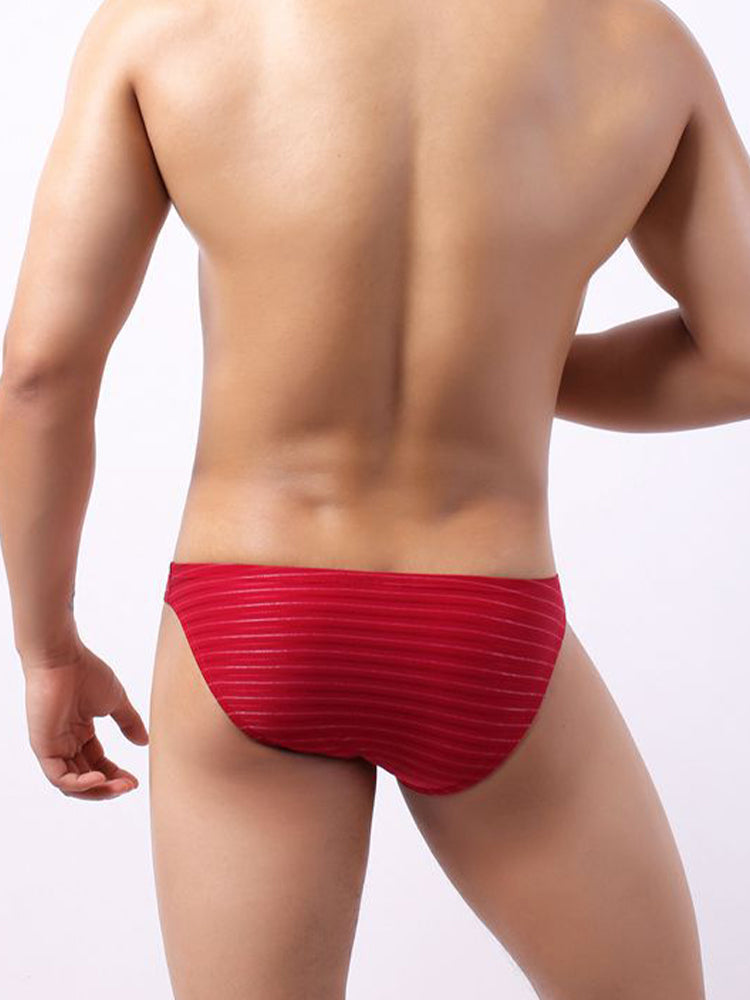 4 Pack Men's U-Pouch Striped Low-Rise Breathable & Sexy Briefs | dmunderwear detail image 13
