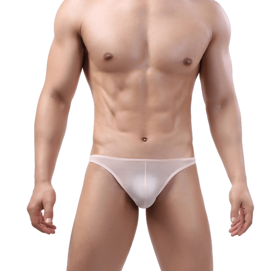 4 Pack Nude Slip V Bikini | dmunderwear detail image 3
