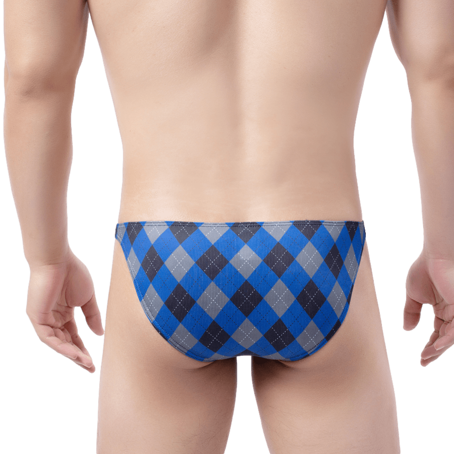 4 Pack Plaid Bikini Briefs | dmunderwear detail image 7