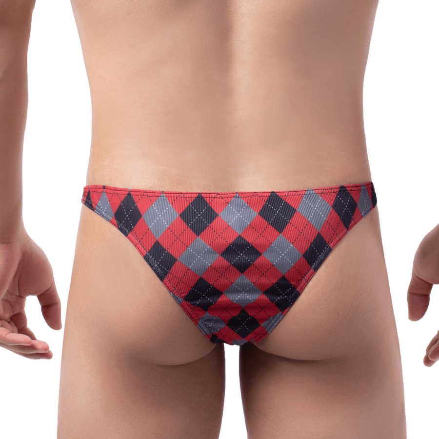 4 Pack Plaid V Bikini | dmunderwear detail image 4