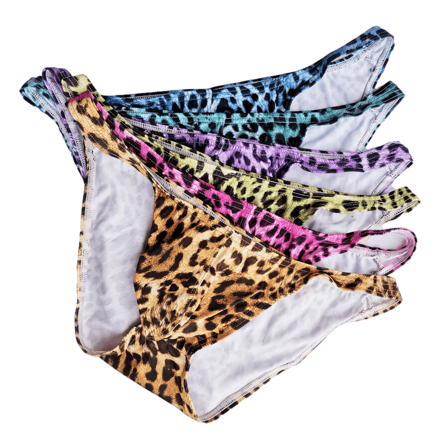 4 Pack Rainbow Leopard Bikini Briefs | dmunderwear