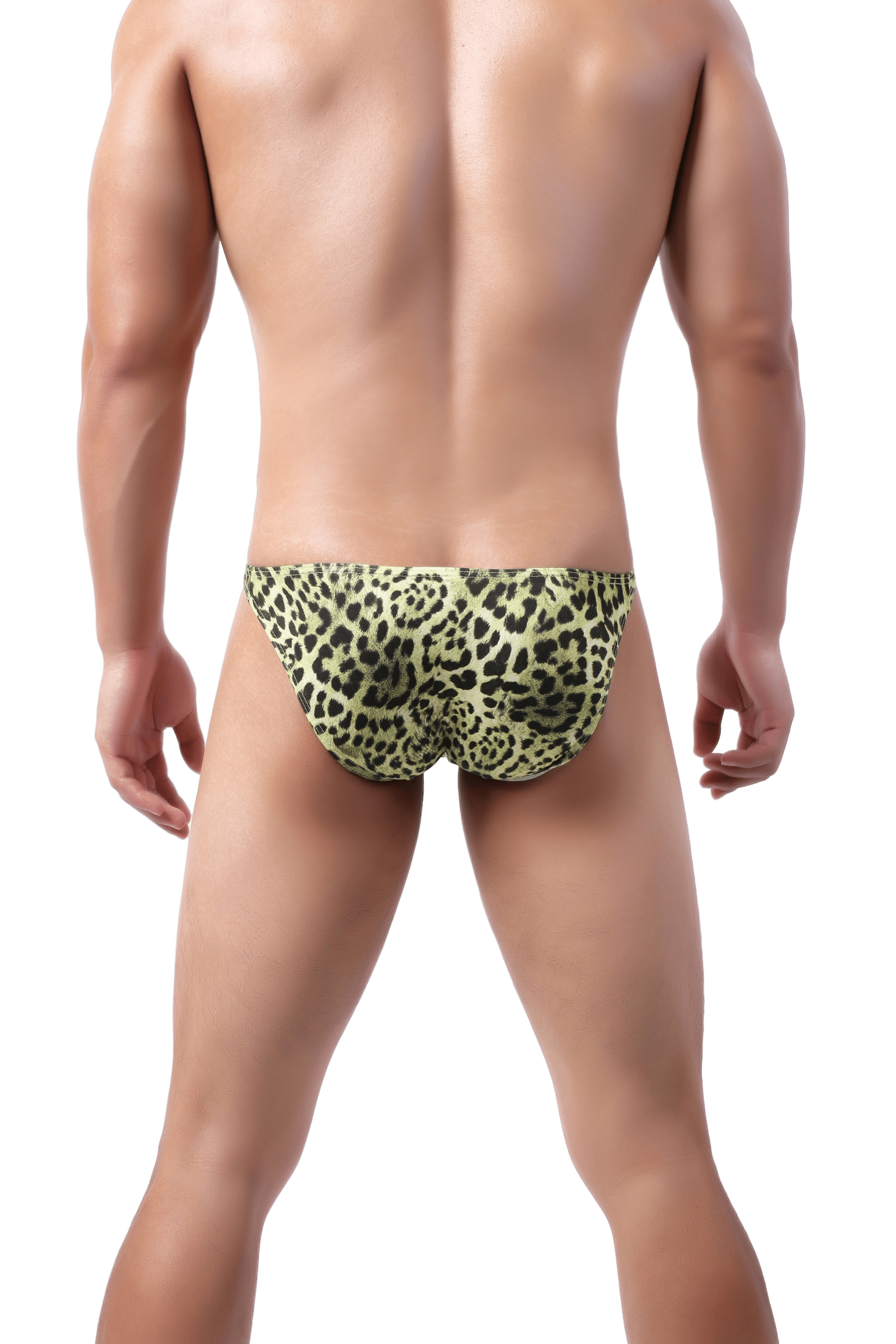 4 Pack Rainbow Leopard Bikini Briefs | dmunderwear detail image 5