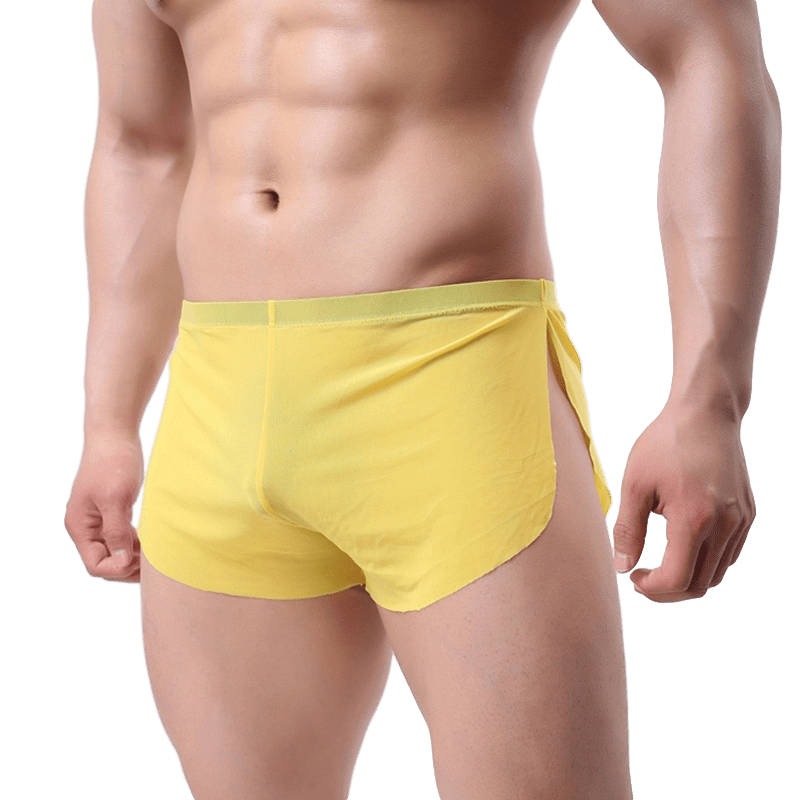 4 Pack Sheer Slit Shorts | dmunderwear detail image 2