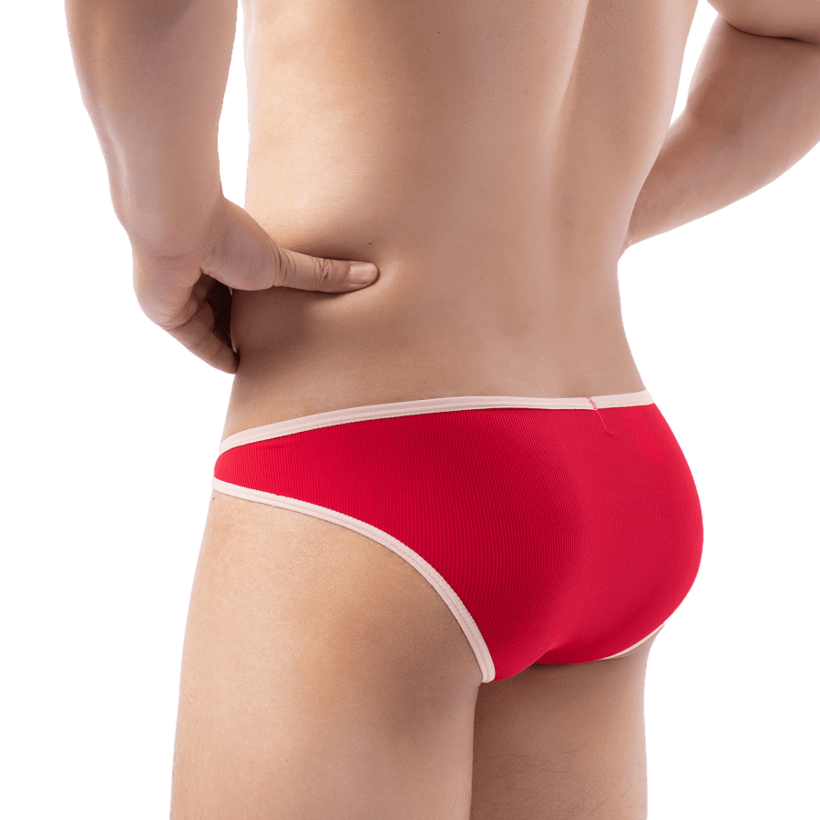 4 Pack Stunner Trimmed Bikini | dmunderwear detail image 9