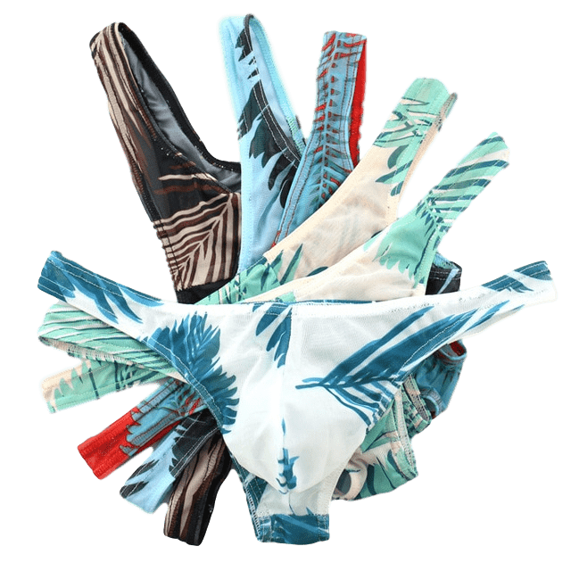 4 Pack Tropical Sheer Thong | dmunderwear