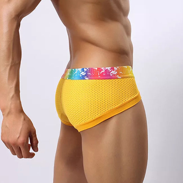 4 Pack Breathable Modal Colored Belt Briefs-rainbow pride underwear | dmunderwear detail image 13