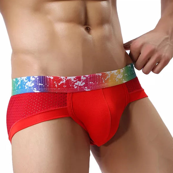 4 Pack Breathable Modal Colored Belt Briefs-rainbow pride underwear | dmunderwear detail image 20