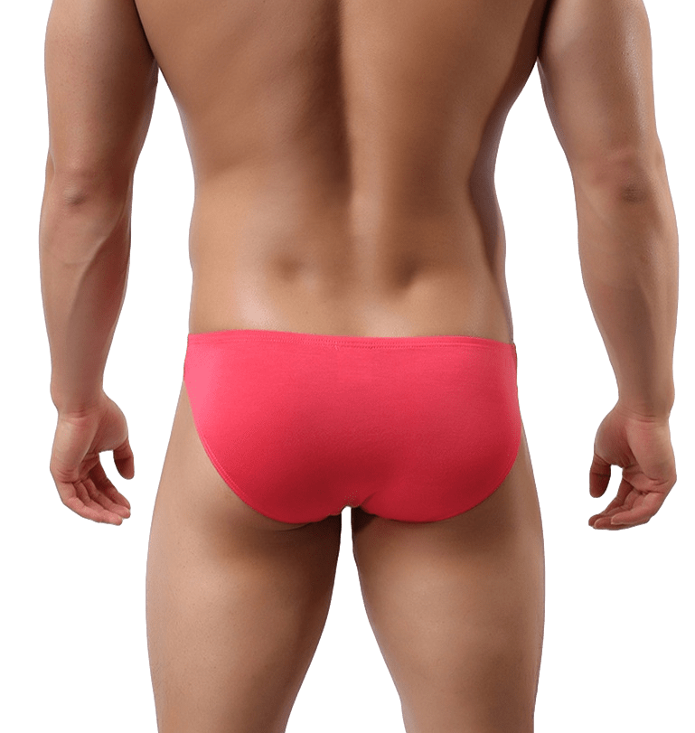 5 Pack Essential Modal Bikini Briefs | dmunderwear detail image 17