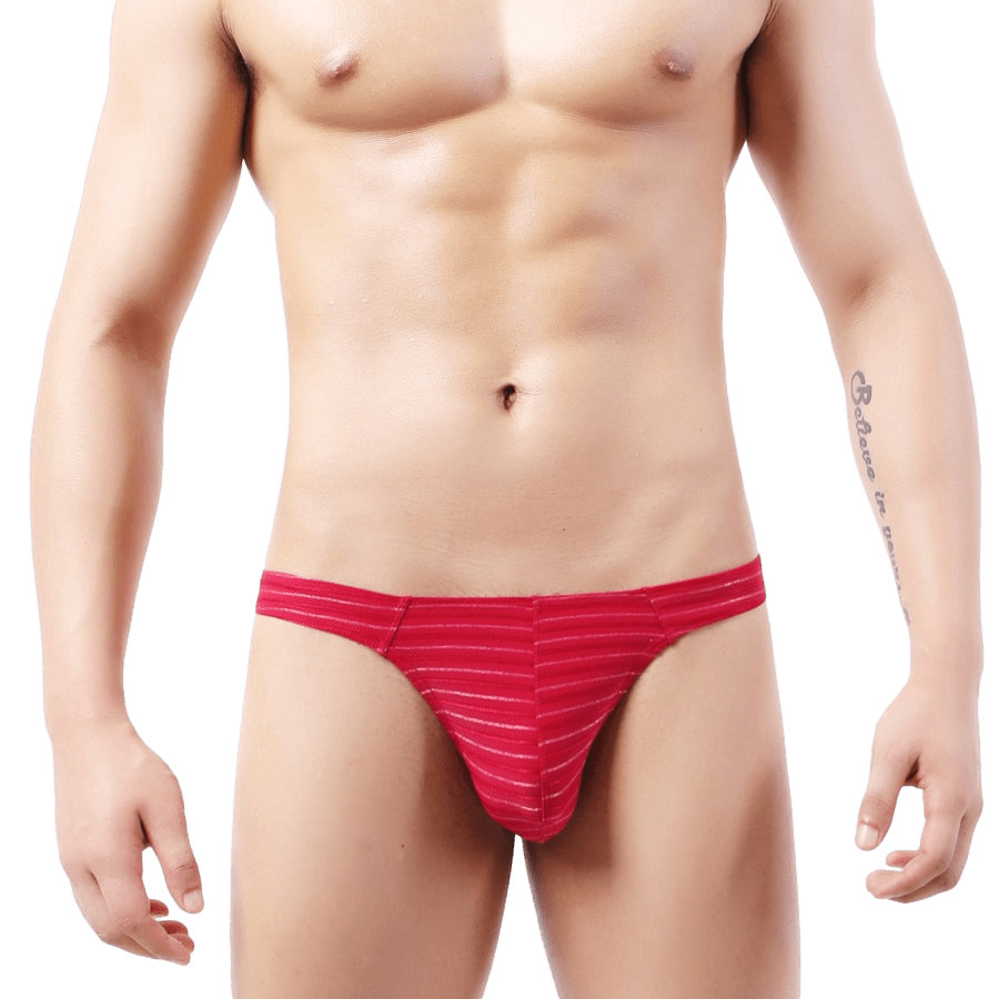 5 Pack Light Striped Thong | dmunderwear detail image 6