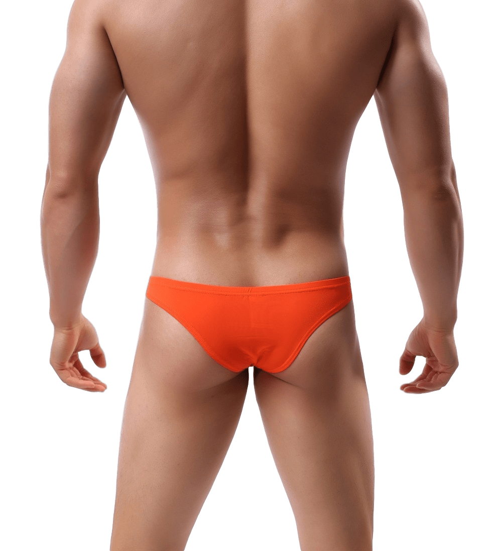 5 Pack Light Triangle Bikini Briefs | dmunderwear detail image 4