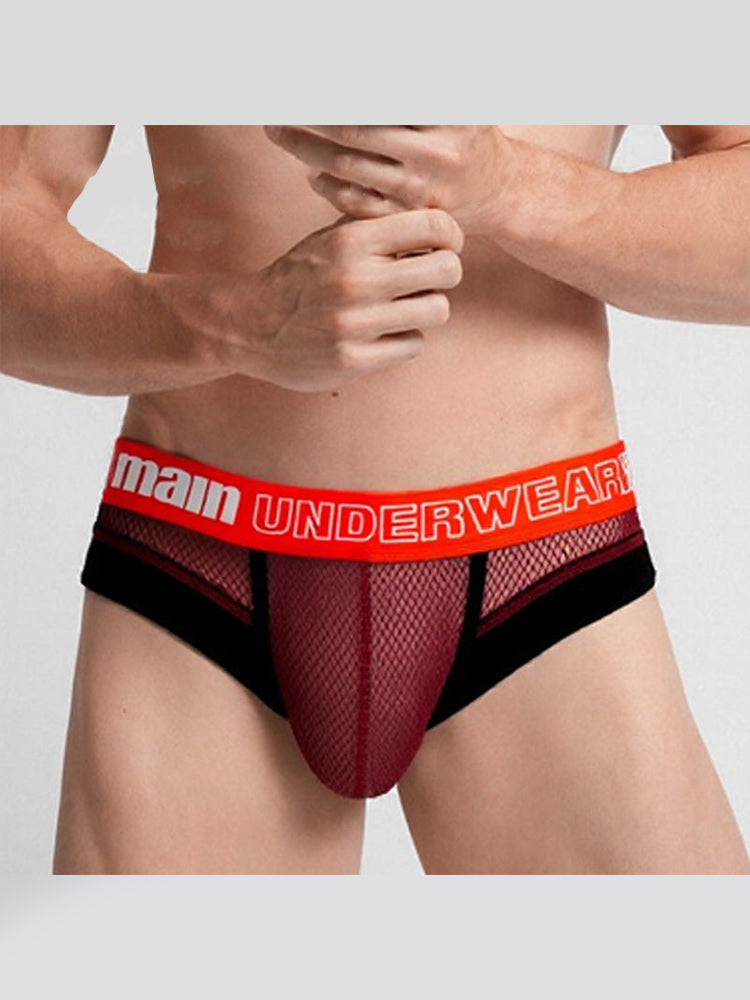 6 Pack Men's Professional Mesh Large Supportive Pouch Breathable Briefs | dmunderwear detail image 3