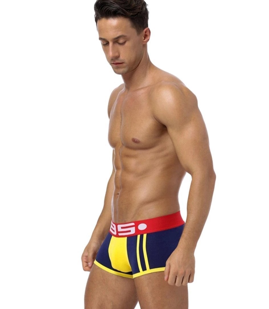 85 Collection Racing Stripe Boxer Briefs | dmunderwear detail image 3