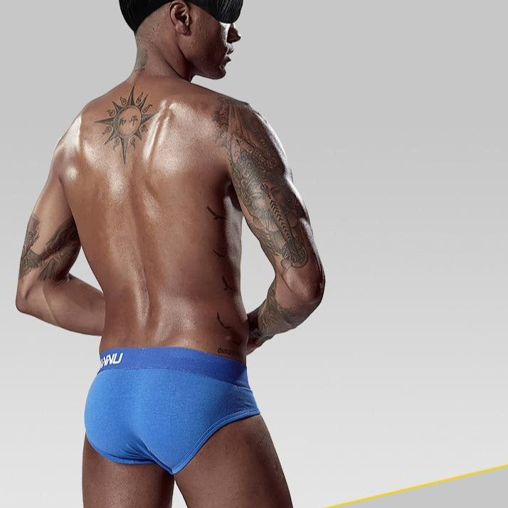 ADANNU Classic Briefs (6 Pack) | dmunderwear detail image 5