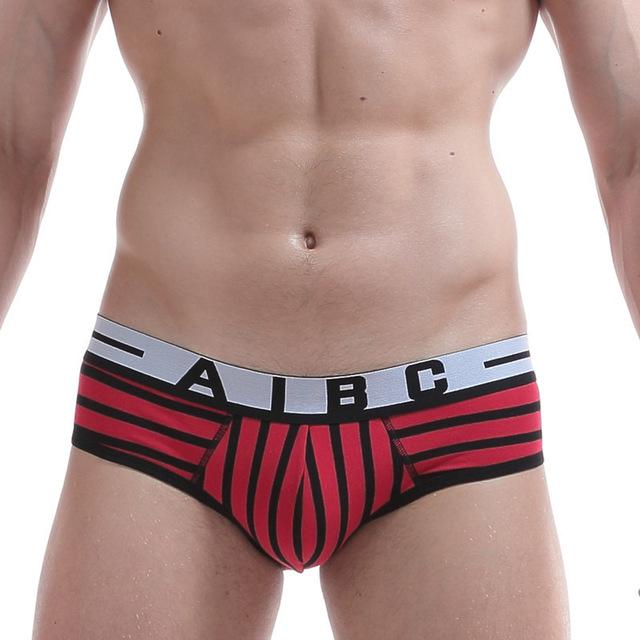 AIBC Striped Brief | dmunderwear detail image 6