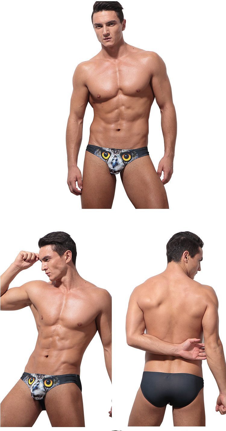 Animal Print Bikini Briefs | dmunderwear detail image 11