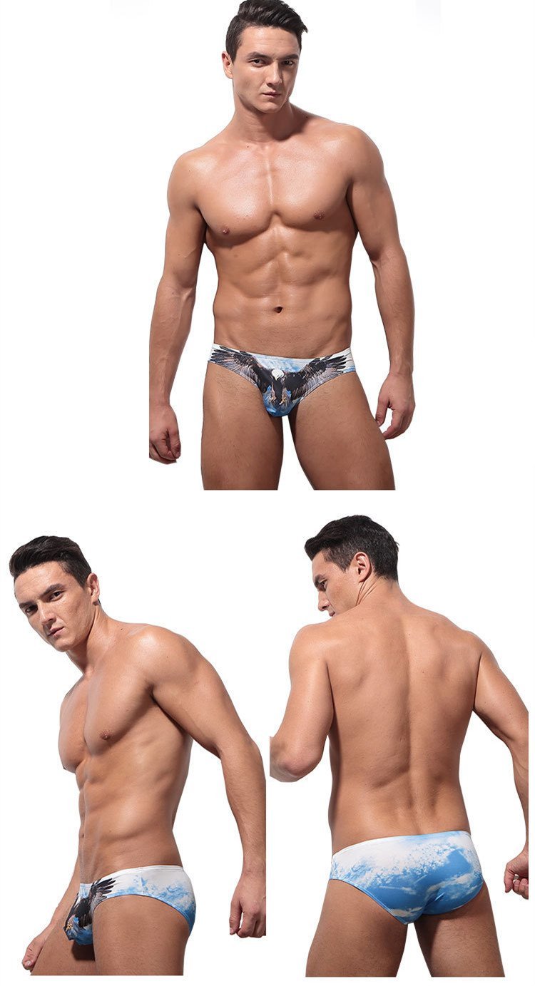 Animal Print Bikini Briefs | dmunderwear detail image 5