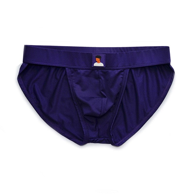 Boy Tanga Briefs | dmunderwear detail image 3