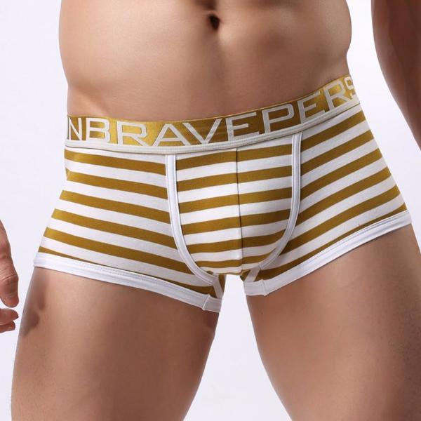 Brave Person Striped Boxer Briefs | dmunderwear