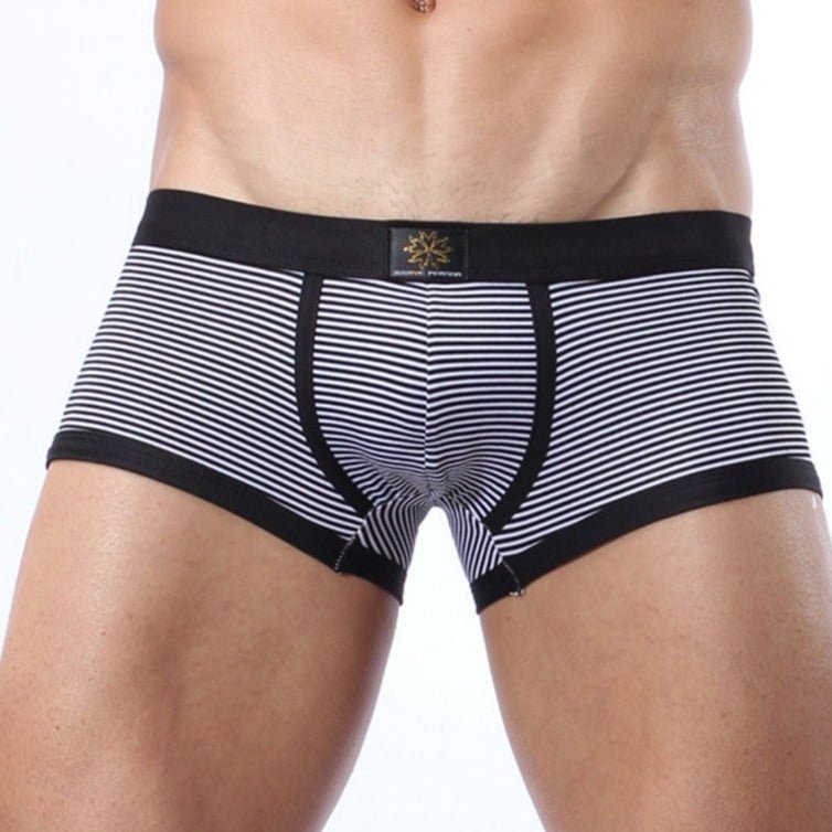 Brave Person Striped Lycra Boxer Briefs | dmunderwear