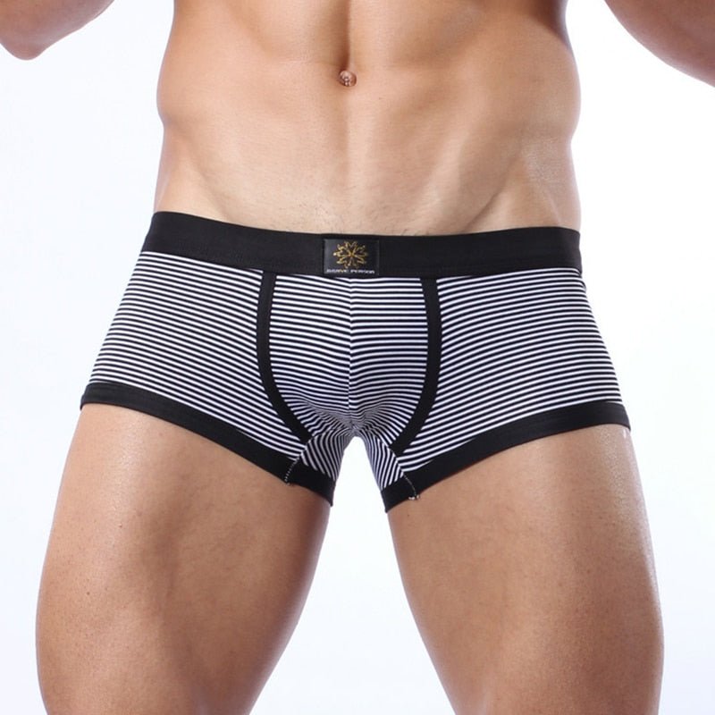Brave Person Striped Lycra Boxer Briefs | dmunderwear detail image 2