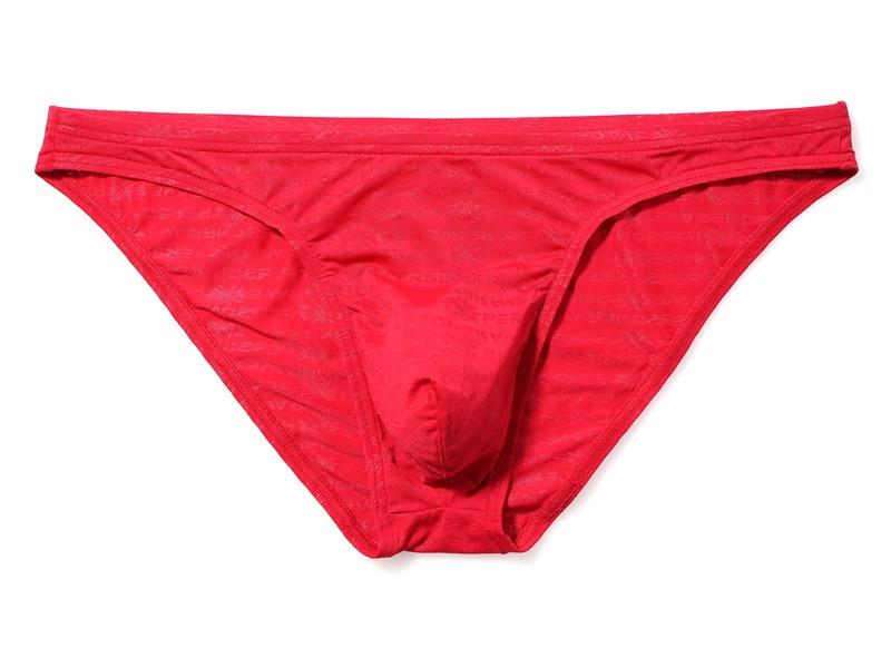 Shimmer Bikini Briefs | dmunderwear detail image 11