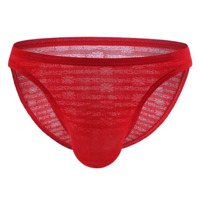 Shimmer Bikini Briefs | dmunderwear detail image 12