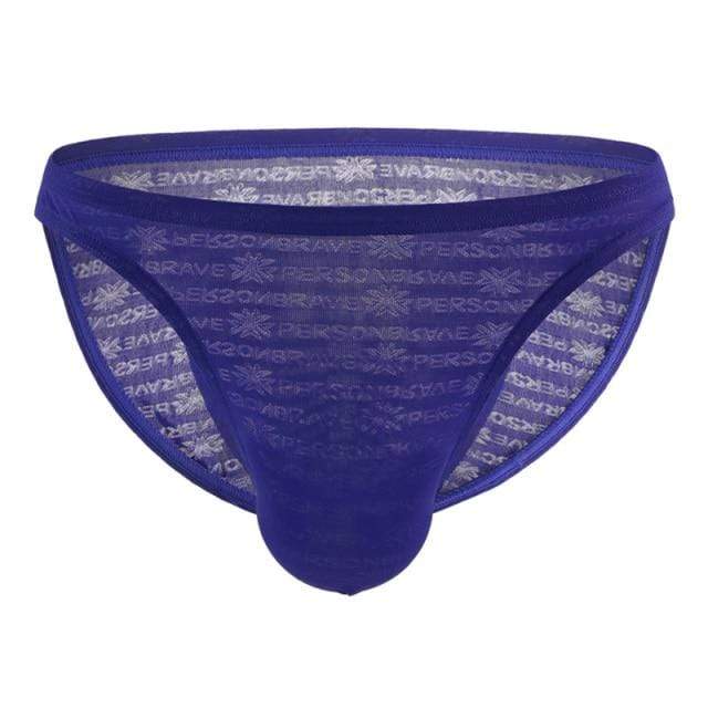 Shimmer Bikini Briefs | dmunderwear detail image 9