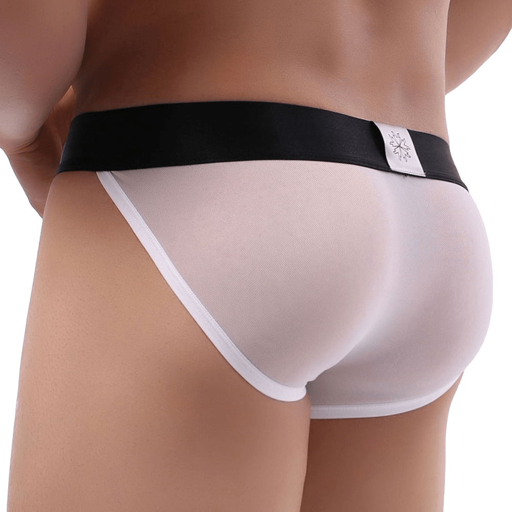Brave Sheer Tanga Briefs | dmunderwear detail image 8