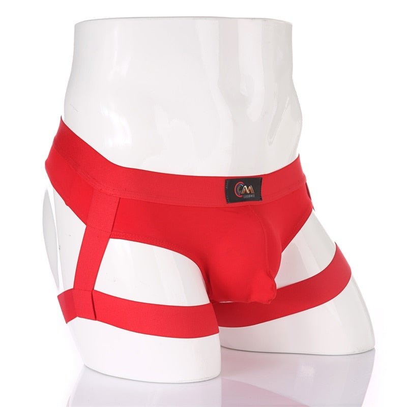 Buns Out Thong with Leg Garter | dmunderwear detail image 5