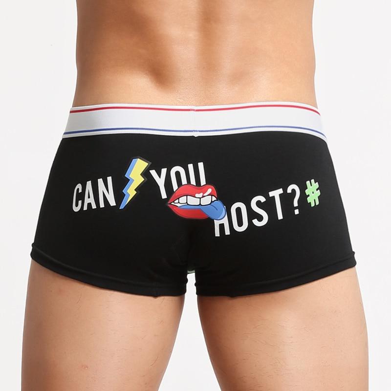 Can You Host Boxer Briefs | dmunderwear detail image 10