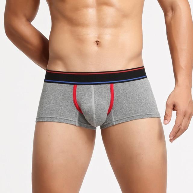 Can You Host Boxer Briefs | dmunderwear detail image 4