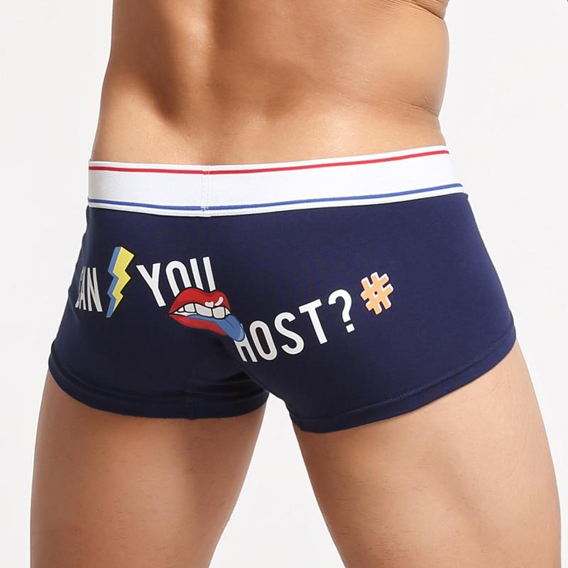 Can You Host Boxer Briefs | dmunderwear detail image 6