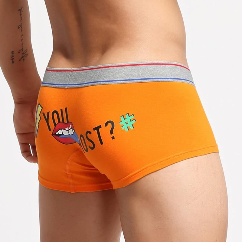 Can You Host Boxer Briefs | dmunderwear detail image 7