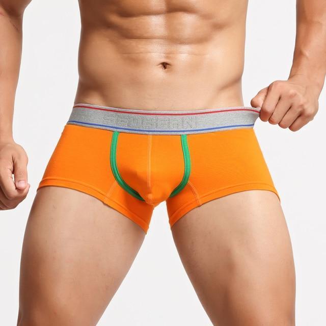 Can You Host Boxer Briefs | dmunderwear detail image 8