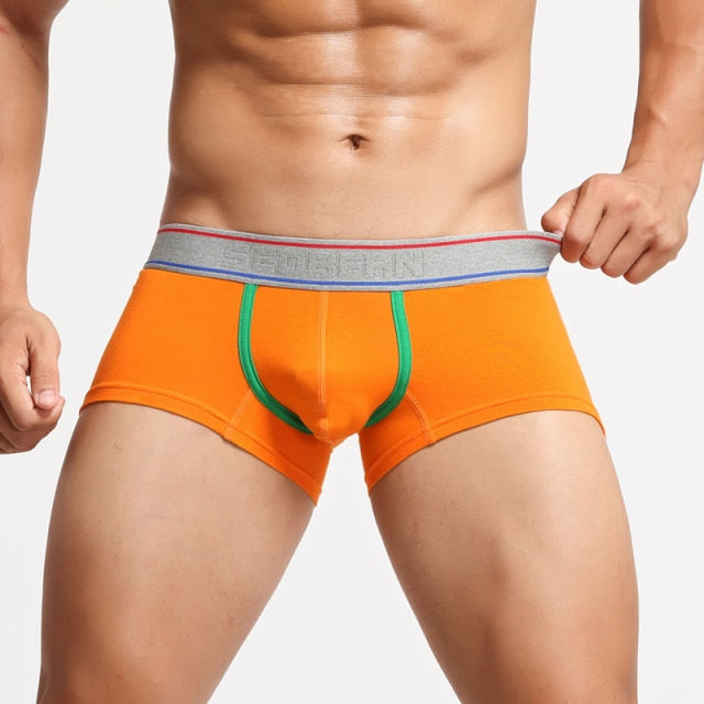 Can You Host Boxers | dmunderwear detail image 13