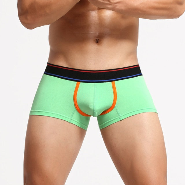Can You Host Boxers | dmunderwear detail image 14