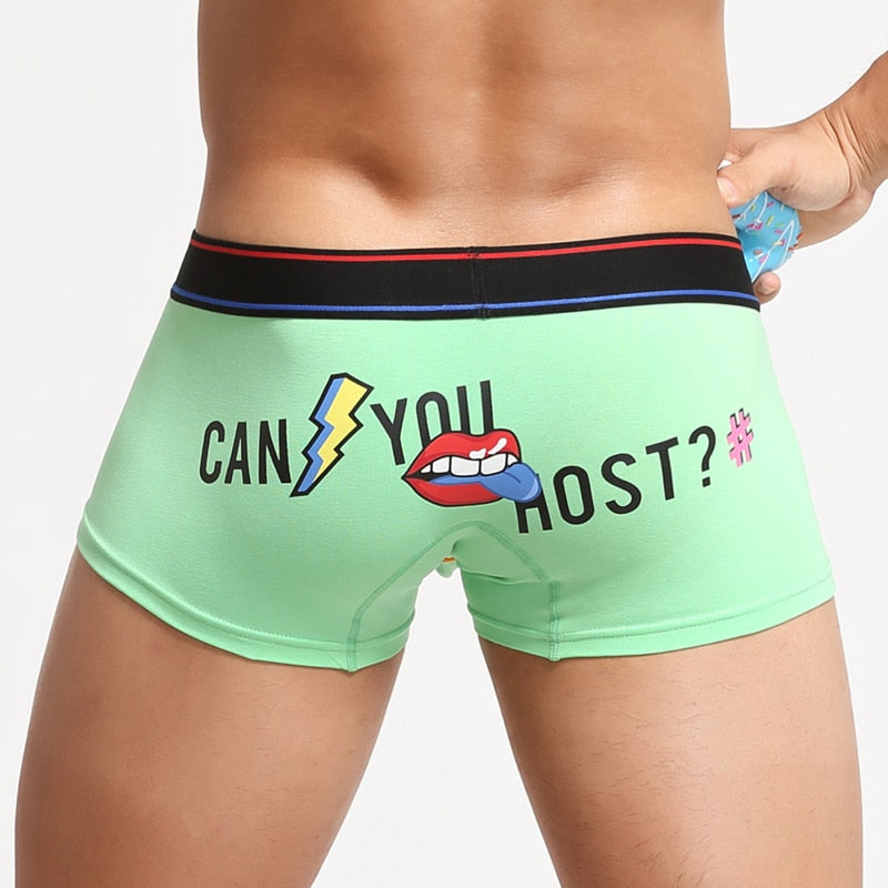 Can You Host Boxers | dmunderwear detail image 16
