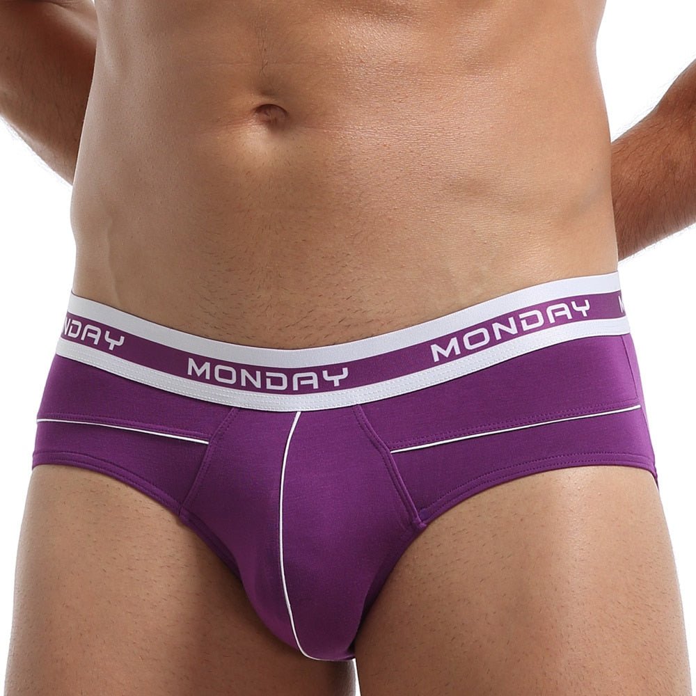 Day of the Week Briefs | dmunderwear detail image 2