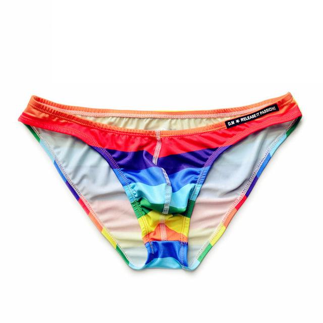 ORVLS Desmiit Rainbow Swim Briefs | dmunderwear