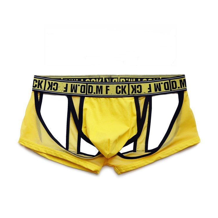 ORVLS DM F*ck Mesh Jock Boxers | dmunderwear detail image 5