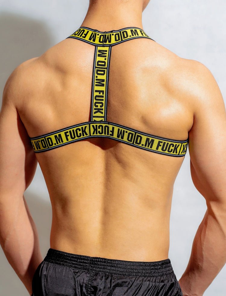 ORVLS DM F*ck Pec Harness | dmunderwear detail image 10