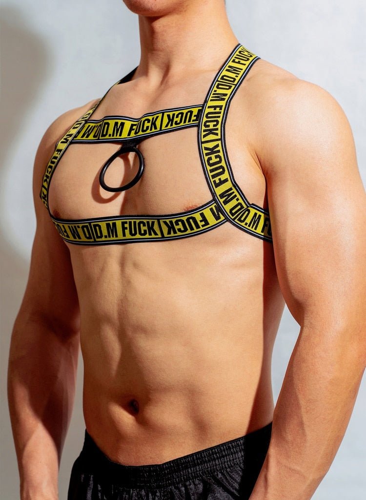 ORVLS DM F*ck Pec Harness | dmunderwear detail image 7
