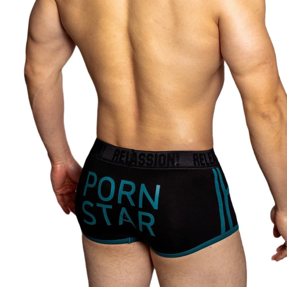 DM Porn Star Boxer Briefs | dmunderwear detail image 8