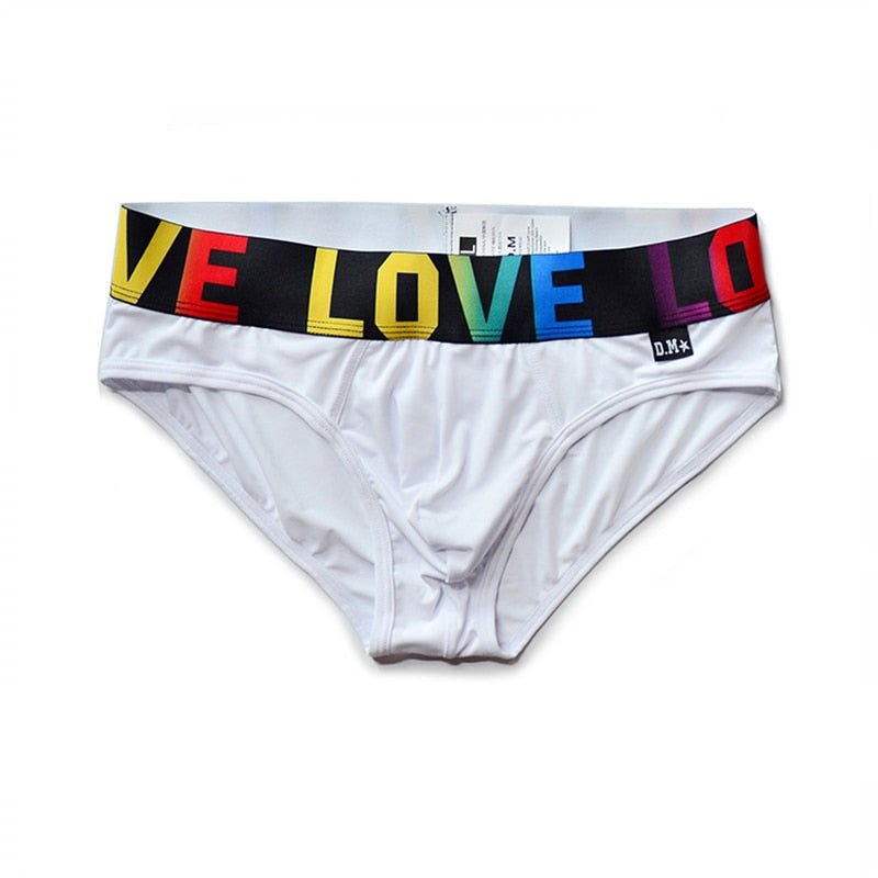 DM Rainbow Love Briefs | dmunderwear
