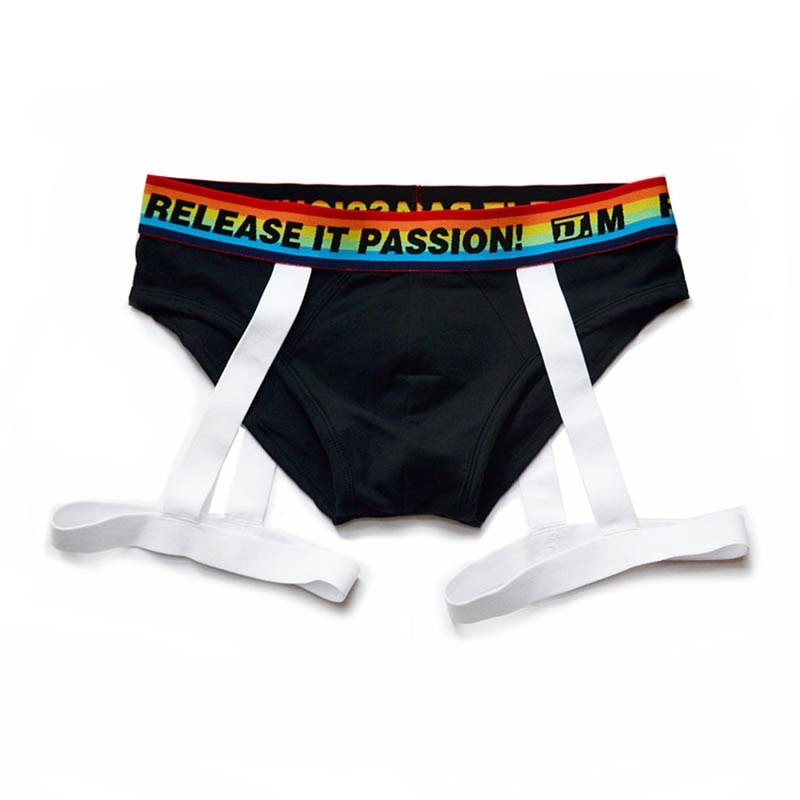 ORVLS DM Rainbow Passion Garter Briefs | dmunderwear detail image 2